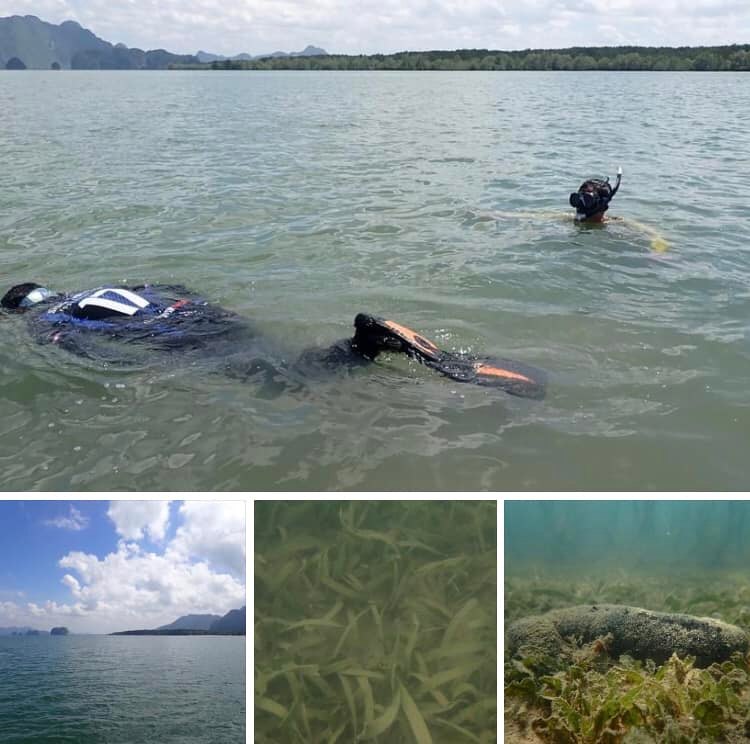 สำรวจหญ้าทะเล บ้านเขาทองใต้-อ่าวท่าเลน จ.กระบี่