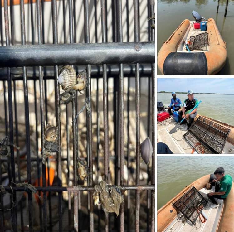 จับลักลอบคราดหอยประกอบเรือกล ในเขตชายฝั่งบางหญ้าแพรก