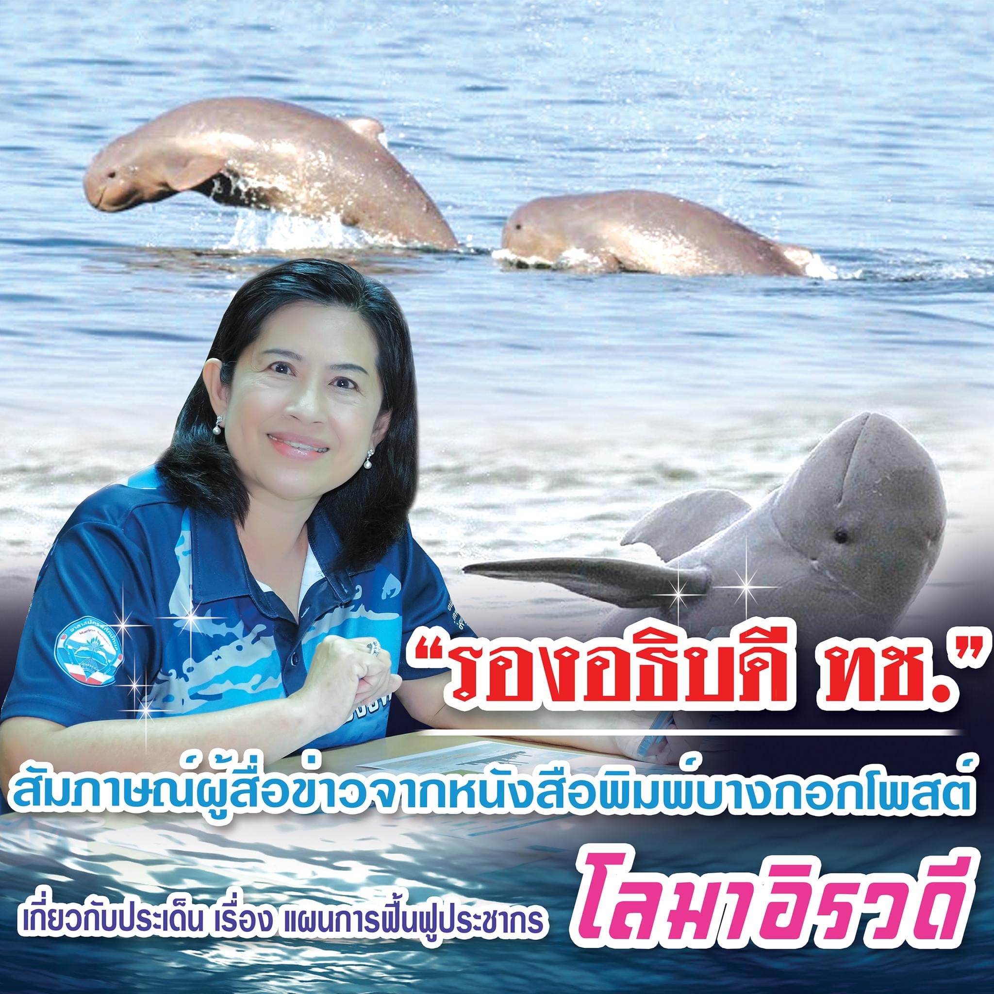 รองฯ ทช. ให้ข้อมูลทีมบางกอกโพสต์ ประเด็นแผนฟื้นฟูโลมาอิรวดี