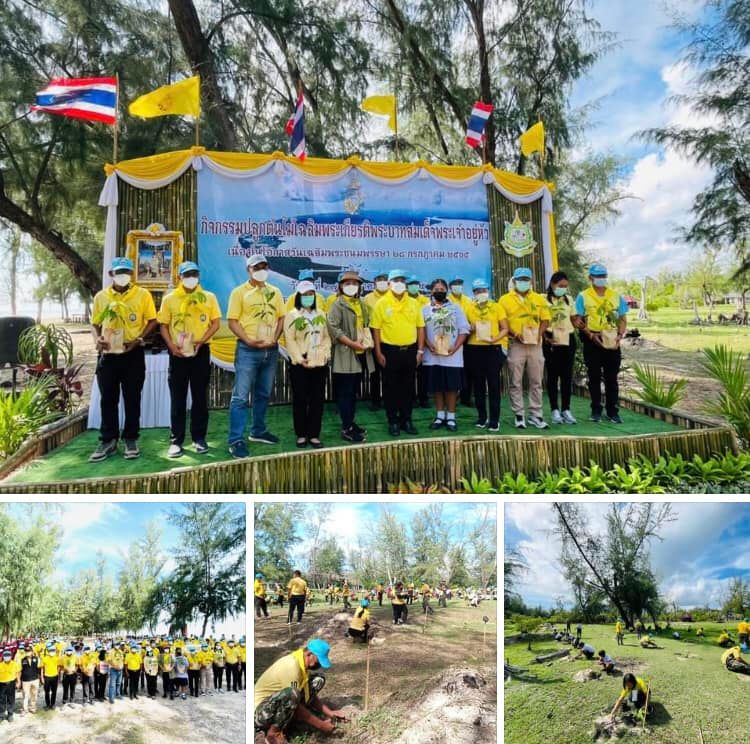 ปลูกป่าชายหาดเสริมความมั่นคง ป่าปลายแหลมตะลุมพุก