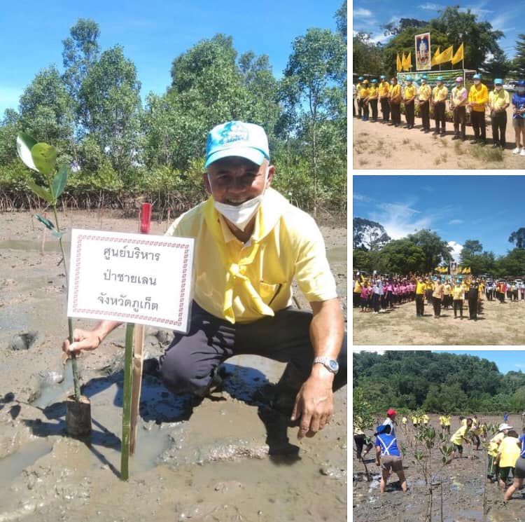 ชุมชนป่าคลอก จัดปลูกเสริมป่าชายเลนบ้านบางโรงเฉลิมพระเกียรติ