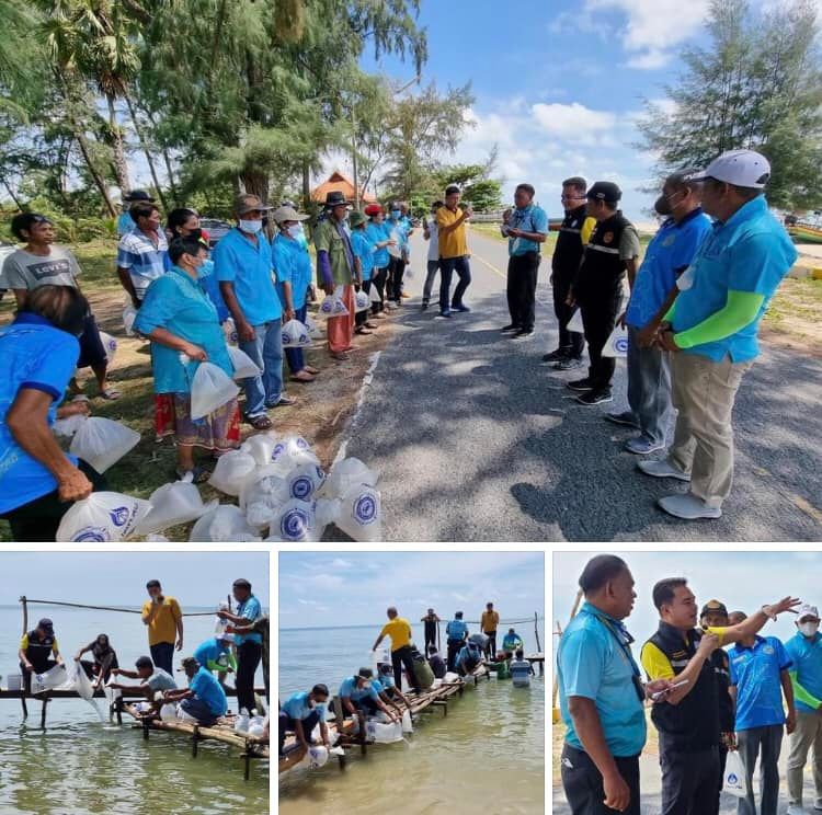 ปล่อยพันธุ์สัตว์น้ำ เพิ่มความสมบูรณ์ทะเลสงขลา