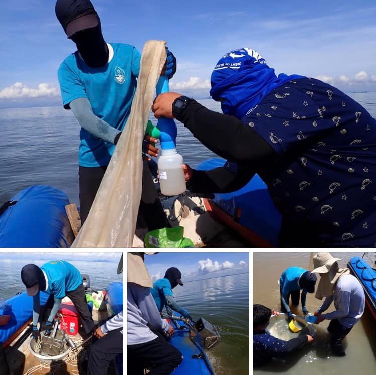 เดินหน้าต่อ ศึกษาแหล่งอาศัยโลมาอิรวดีในทะเลสาบสงขลา