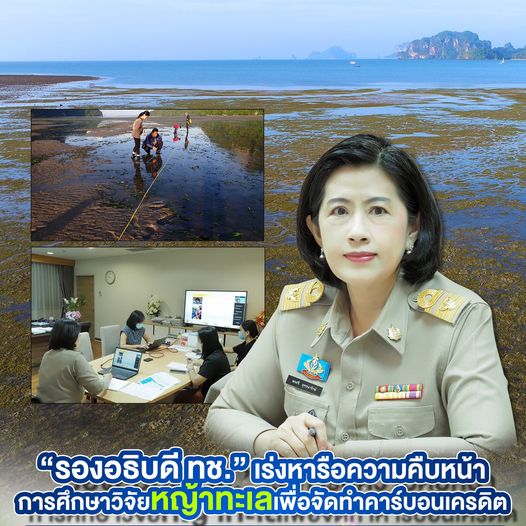 รองฯ ทช. หารือผลการศึกษาวิจัยหญ้าทะเลเพื่อจัดทำคาร์บอนเครดิต