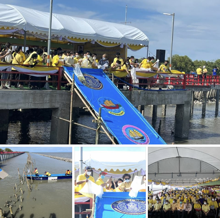 ผู้ว่าฯ สมุทรสาคร นำปล่อยสัตว์น้ำสะพานแดง วันเฉลิมพระชนมพรรษา