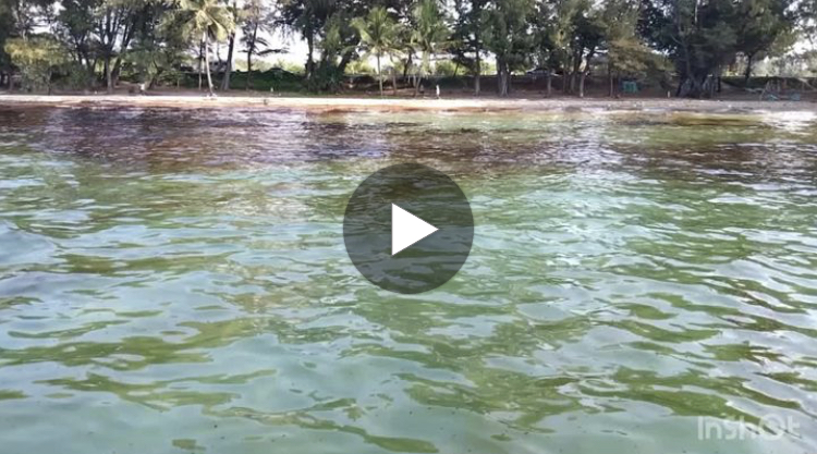 สถานการณ์น้ำมันดิบที่รั่ว ขึ้นเกยฝั่งหาดแม่รำพึง
