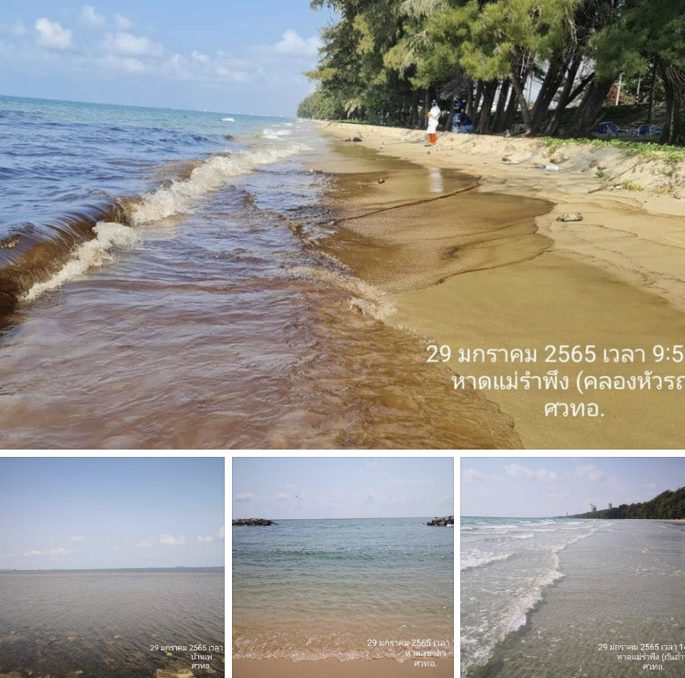 ผลกระทบน้ำมันดิบ ล่าสุดปนเปื้อนเฉพาะที่หาดแม่รำพึง