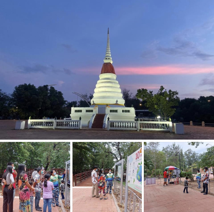 เที่ยวป่าชายเลนกลางเมืองระยอง ได้ความรู้รักษ์ทะเล