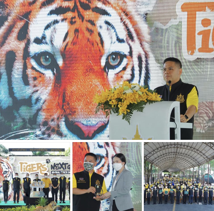 พาไปดูงานวันเสือโคร่งโลก ที่เขตห้ามล่าสัตว์ป่าบึงฉวาก สุพรรณบุรี