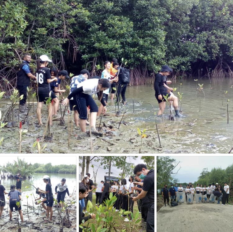 รับทีมสโมสรราชภัฏนครศรีธรรมราช ปลูกป่าชายเลน