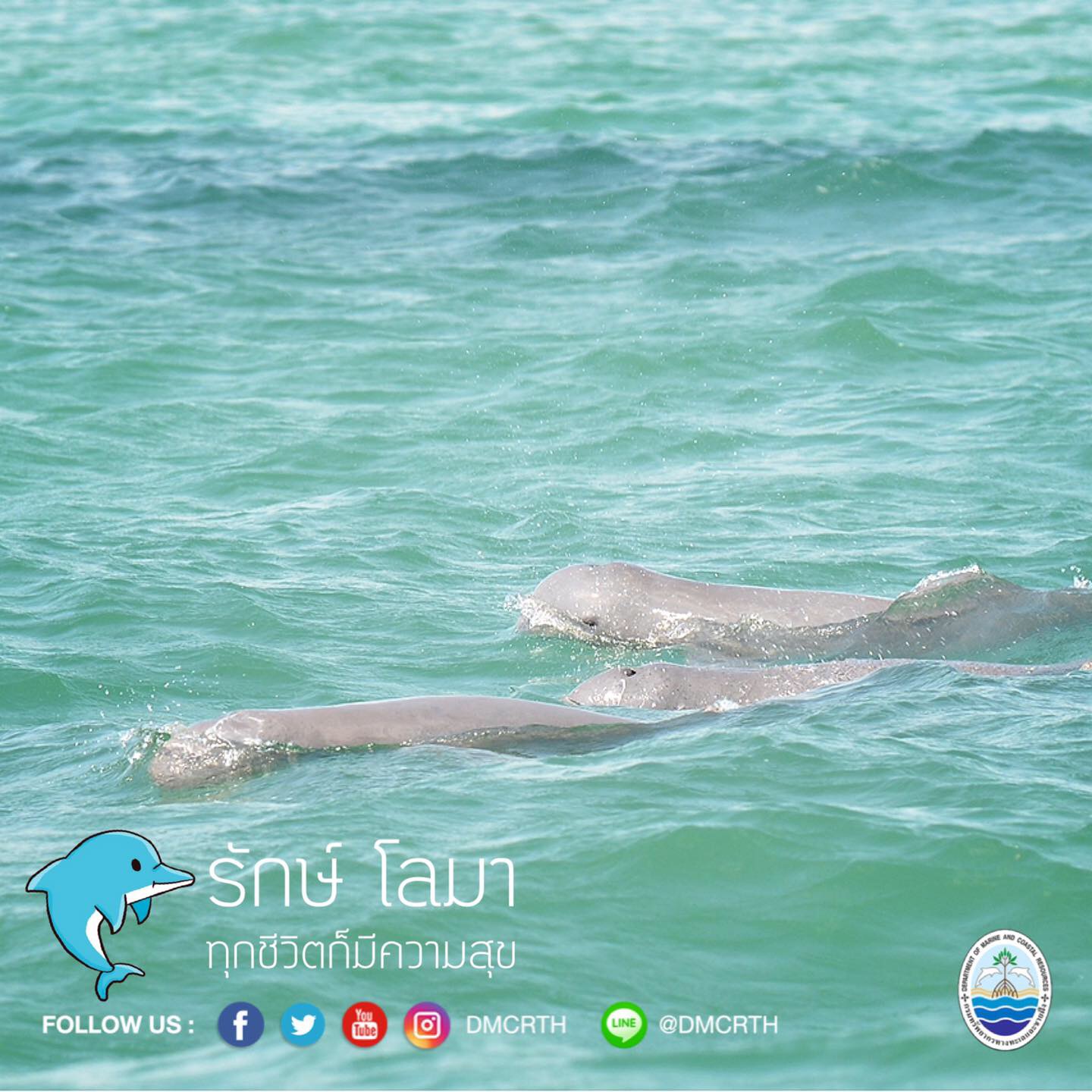 สวัสดี พี่น้องเครือข่ายอนุรักษ์ทะเลไทย