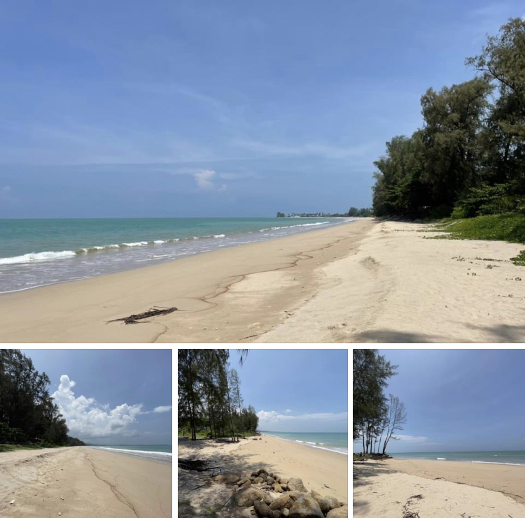 ติดตามเปลี่ยนแปลงระบบหาดบ้านน้ำเค็ม-หาดบางสัก