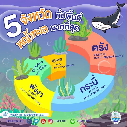 ๕ จังหวัดที่มีแหล่งหญ้าทะเล มากที่สุด