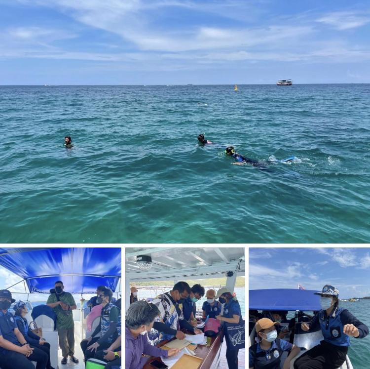 เตรียมความพร้อมติดตั้งทุ่นผูกเรือ อนุรักษ์ปะการังเกาะล้าน