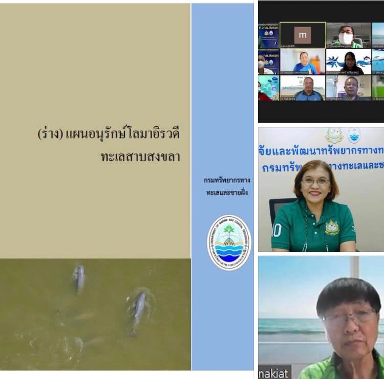 ทช. หารือการจัดการอนุรักษ์โลมาอิรวดีทะเลสาบสงขลา