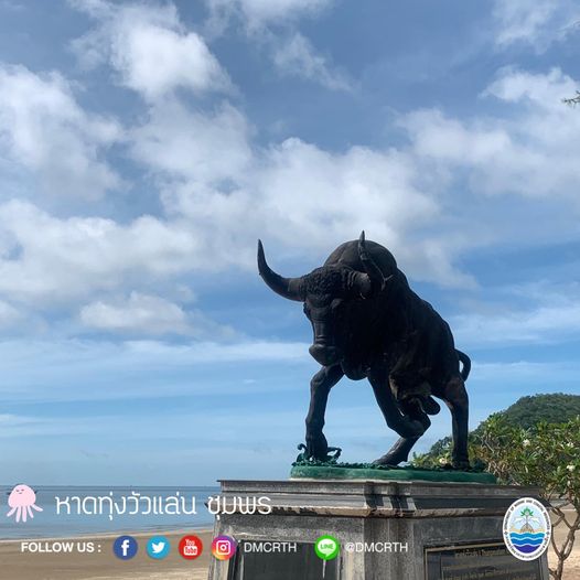 สวัสดี พี่น้องเครือข่ายอนุรักษ์ทะเลไทย