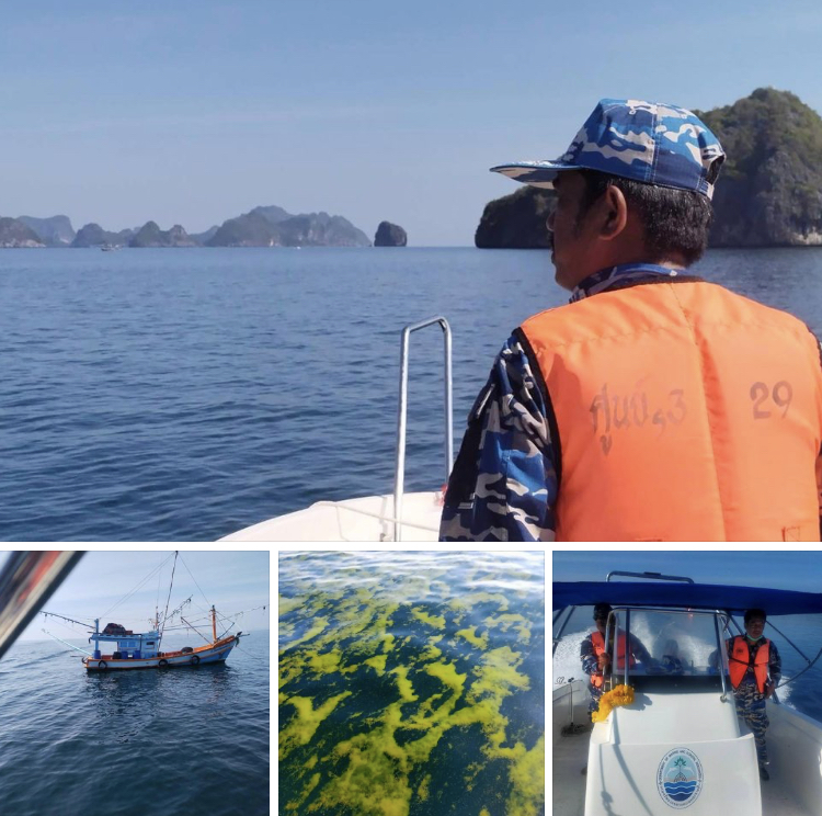เฝ้าระวัง คุ้มครองผลกระทบเรือน้ำมันล่มปากน้ำชุมพร