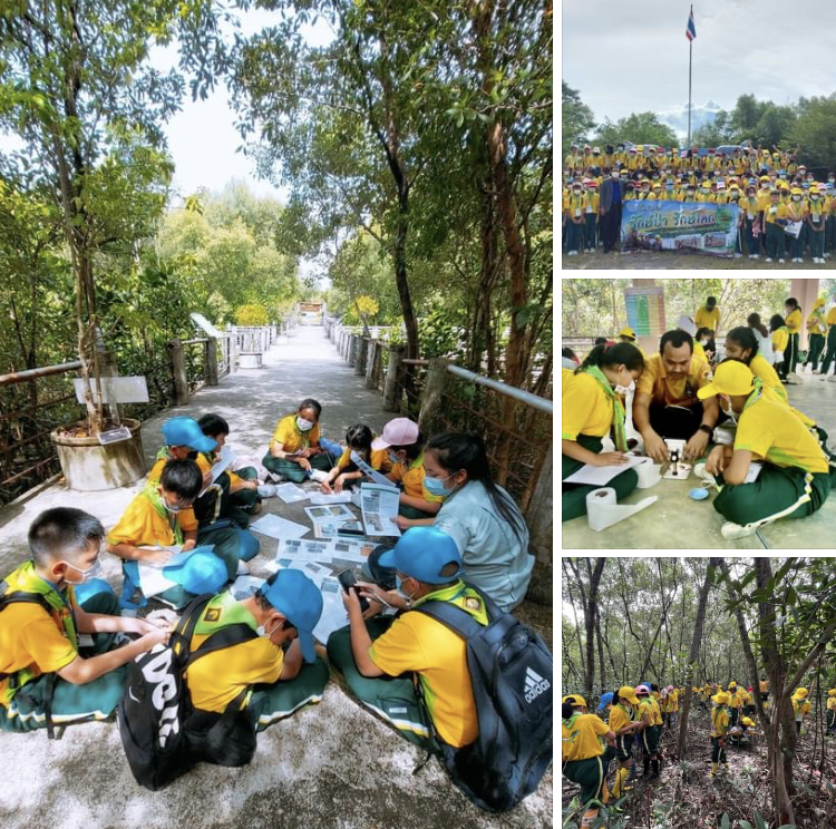 รับ ม.ราชภัฏ และ รร.นานาชาตินครศรีธรรมราช ปลูกป่าชายเลน