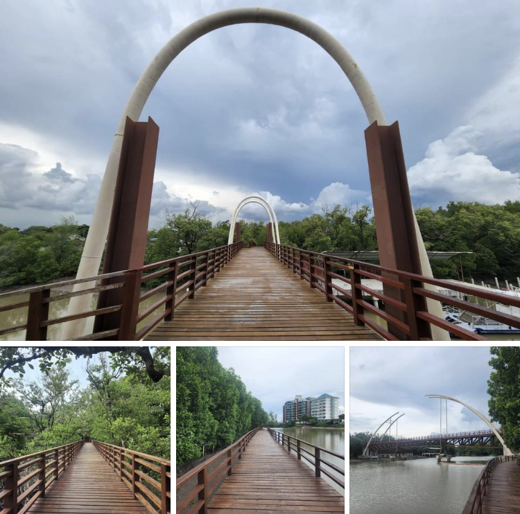 เที่ยวป่าชายเลนระยอง ชมป่าหน้าฝนบรรยากาศดี