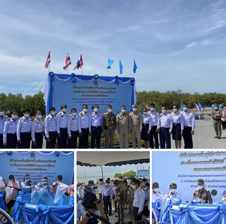 ร่วมคณะองคมนตรี ตรวจติดตามงานโครงการฟาร์มทะเลตัวอย่างฯ