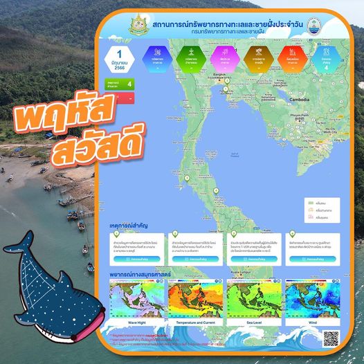 ทะเลไทยมีอะไร สรุปสถานการณ์ทรัพยากรทางทะเลและชายฝั่ง