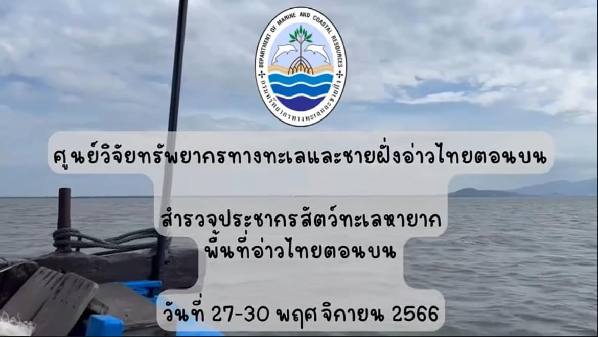 กรมทะเลชายฝั่ง สำรวจสัตว์ทะเลหายากและใกล้สูญพันธุ์บริเวณอ่าวไทยตอนบน