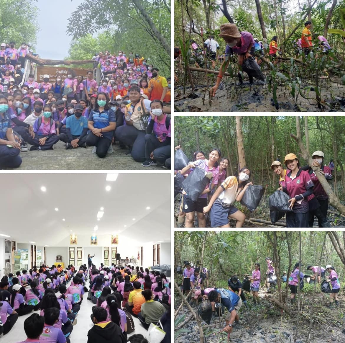 กรมทะเลชายฝั่ง ต้อนรับนักศึกษามหาวิทยาลัยราชภัฏนครศรีธรรมราช จัดกิจกรรม "อิ่มใจอาสาทำความสะอาดและปลูกป่าชายเลน"