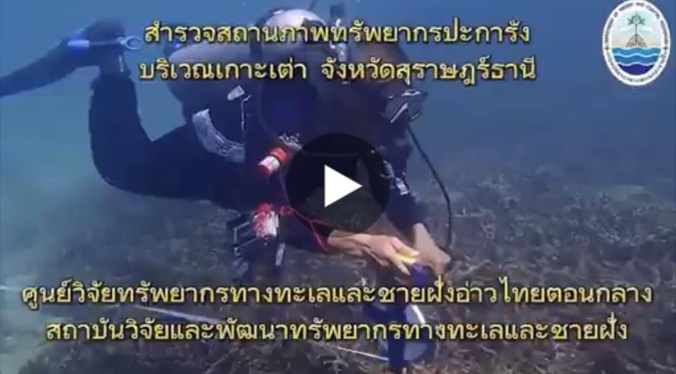 กรมทรัพยากรทางทะเลและชายฝั่ง สำรวจวิจัยสิ่งมีชีวิตใต้ท้องทะเลอย่างต่อเนื่อง