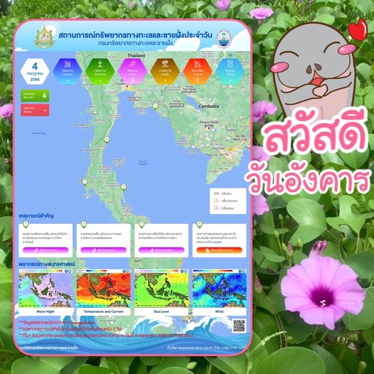 ทะเลไทยมีอะไร สรุปสถานการณ์ทรัพยากรทางทะเลและชายฝั่ง