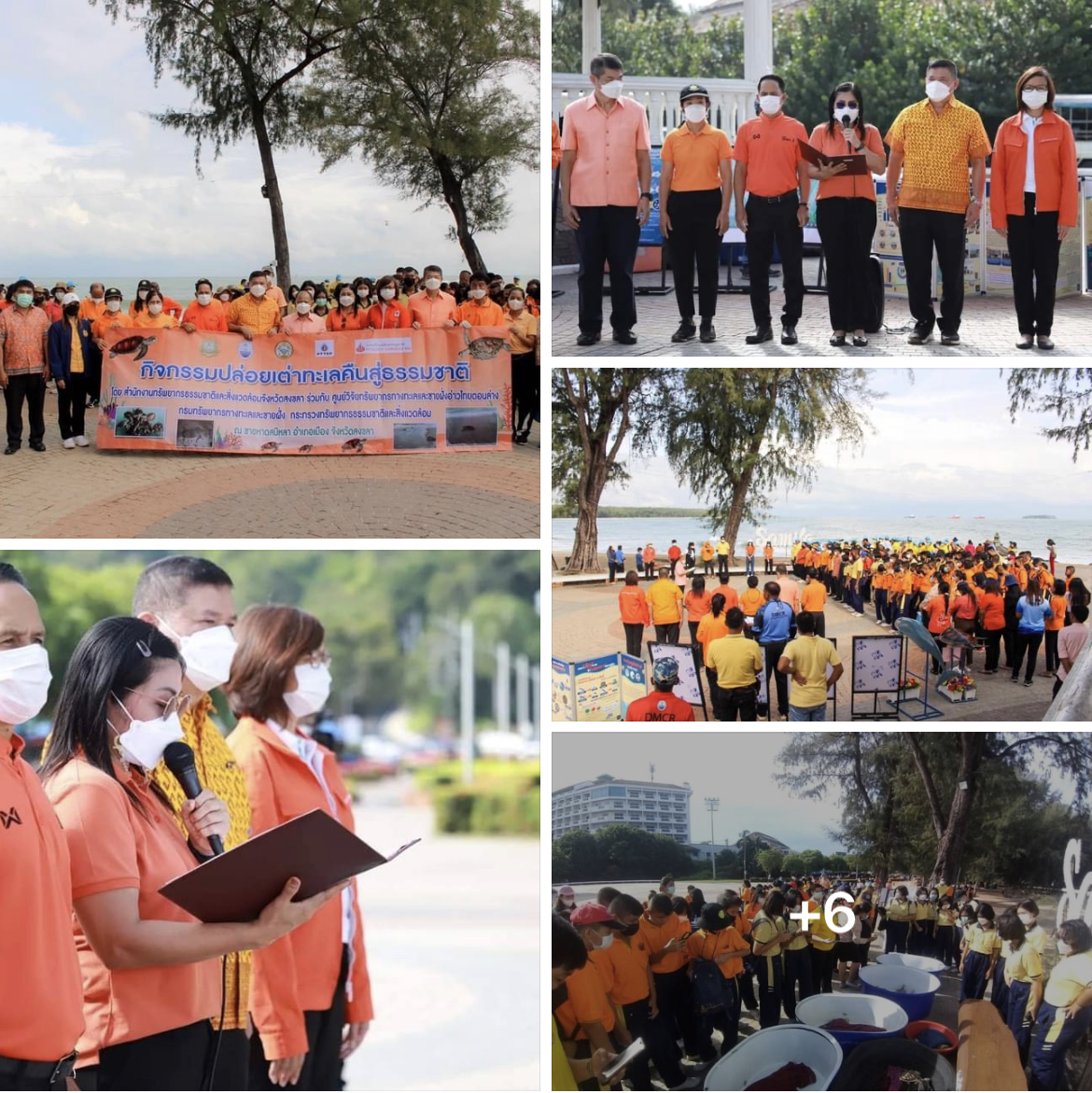 กรม ทช. จัดกิจกรรมปล่อยเต่าทะเลคืนสู่ธรรมชาติ บริเวณหาดสมิหลา จ.สงขลา