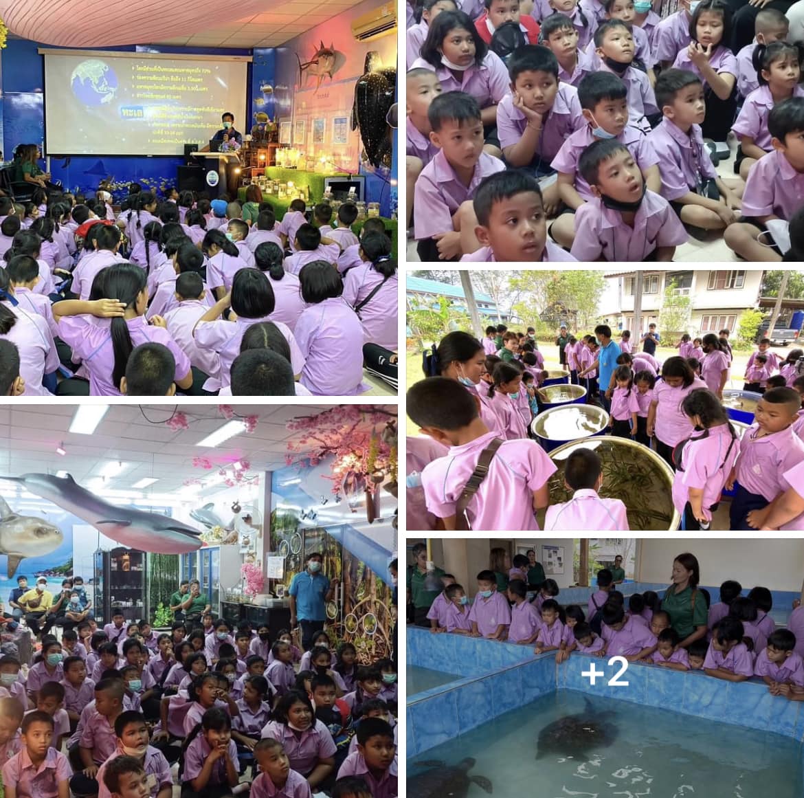 กรมทะเลชายฝั่ง บรรยายให้ความรู้เกี่ยวกับทรัพยากรทางทะเลและชายฝั่ง พร้อมพาชมการอนุบาลเต่าทะเล