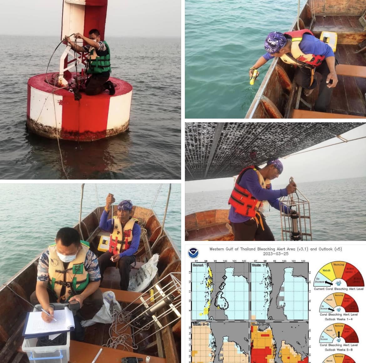 กรม ทช. ลงพื้นที่เก็บข้อมูล และติดตั้ง data Temperature logger เพื่อศึกษาการเปลี่ยนแปลงของอุณหภูมิน้ำทะเล
