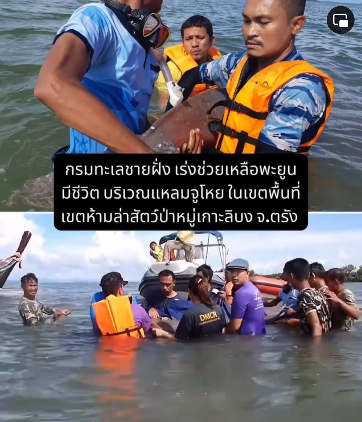 กรมทะเลชายฝั่ง เร่งช่วยเหลือพะยูนมีชีวิตถูกเชือกลอบปูพันรัด บริเวณแหลมจูโหย จ.ตรัง