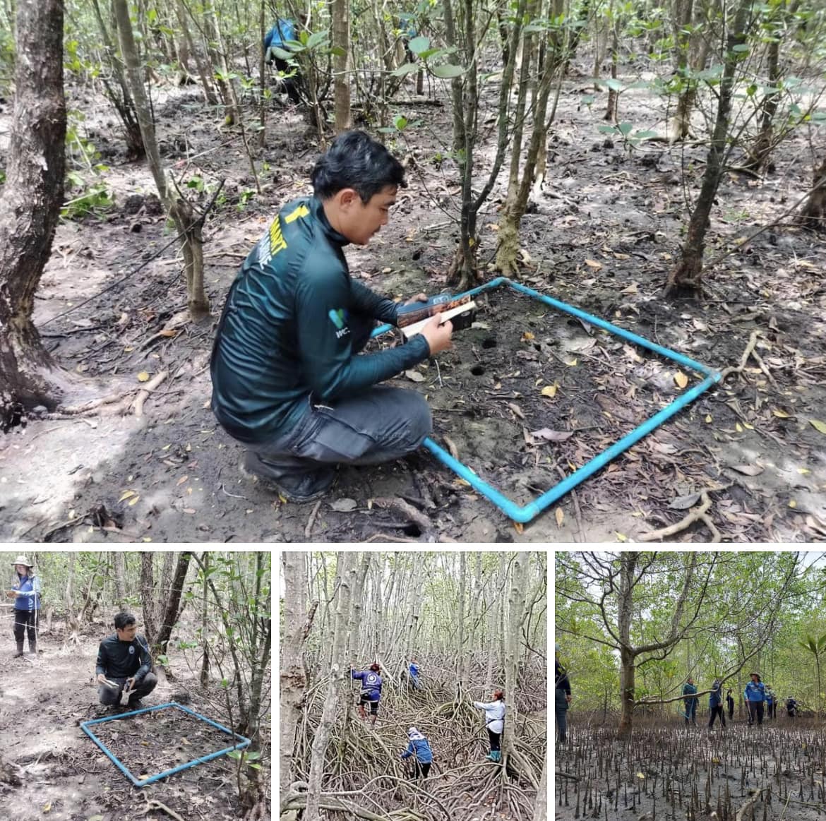 กรมทะเลชายฝั่ง สำรวจการกระจายและปริมาณของนิเวศบริการ จ.สุราษฎร์ธานี