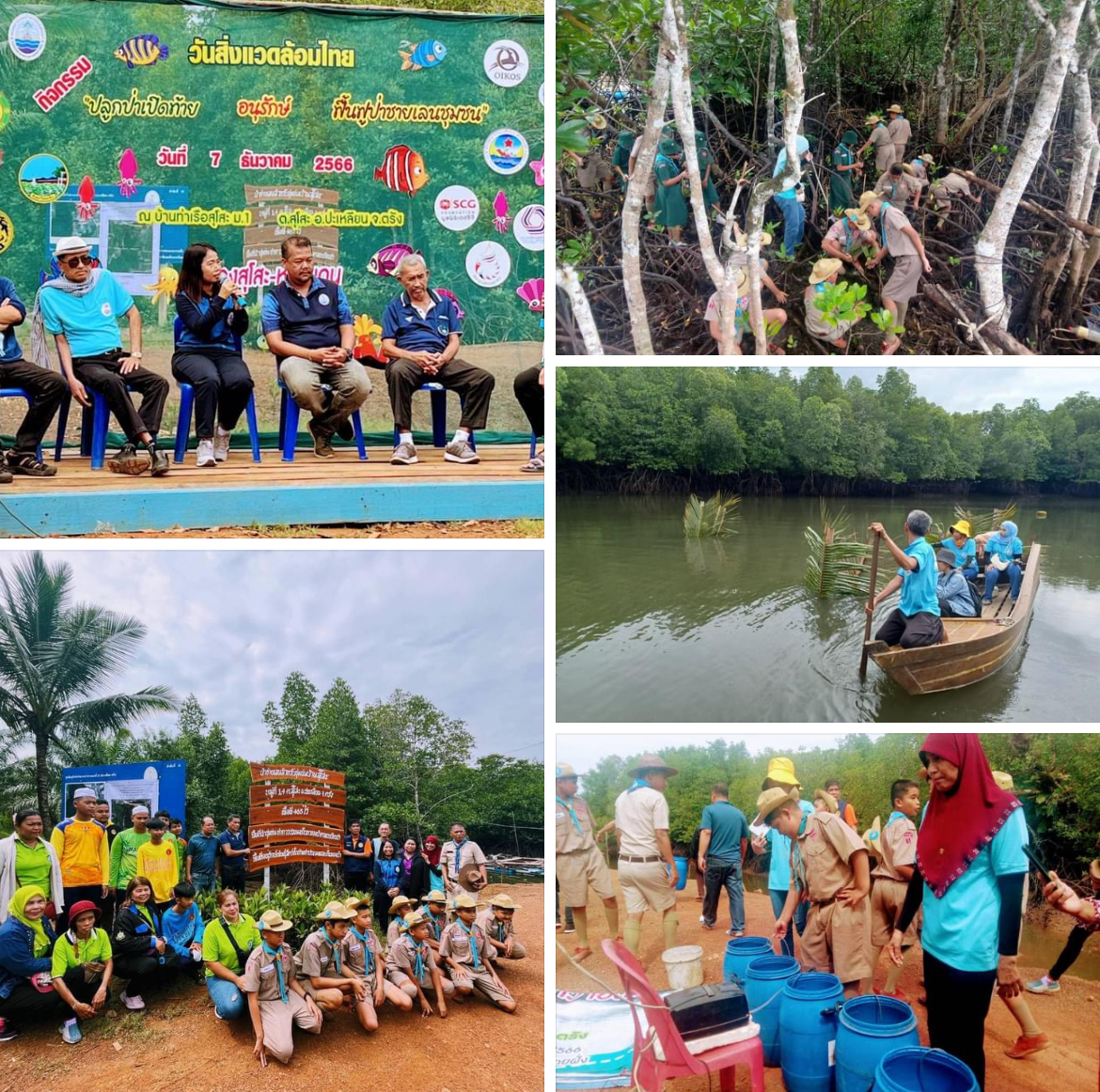 กรมทะเลชายฝั่ง ร่วมปลูกป่าชายเลน วางซั้งกอบ้านปลา ปล่อยพันธ์ุปูดำในพื้นที่ป่าชายเลนชุมชน จ.ตรัง