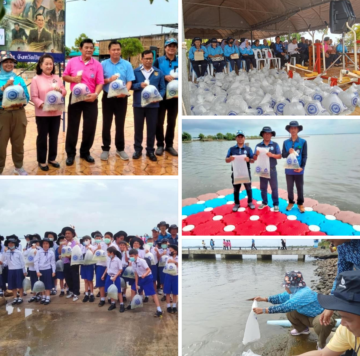 กรมทะเลชายฝั่ง ร่วมกิจกรรมส่งเสริมขยายพันธุ์สัตว์น้ำเพื่ออนุรักษ์ทะเลปัตตานี