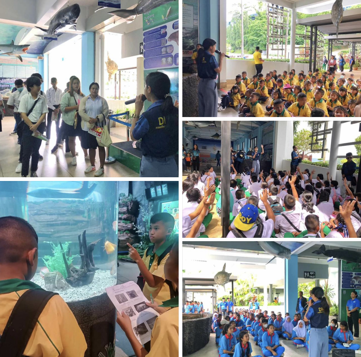 กรมทะเลชายฝั่ง นำนักเรียนโรงเรียนคลองยางประชาอนุสรณ์ ศึกษาความหลากหลายของสิ่งมีชีวิตทางทะเล