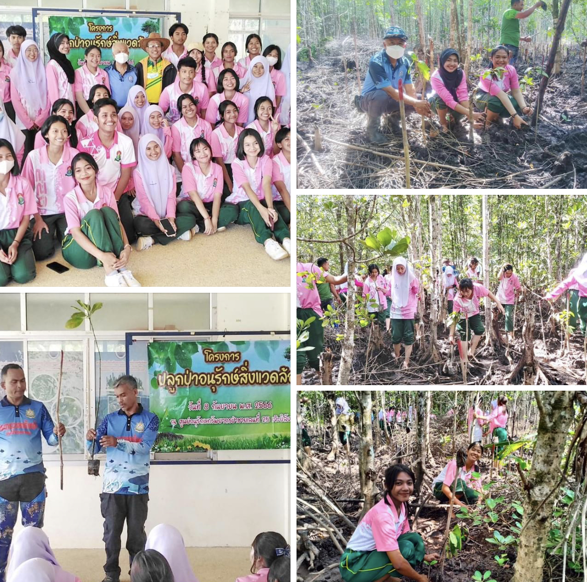 กรมทะเลชายฝั่ง จัดกิจกรรมปลูกป่าชายเลนฟื้นฟูทรัพยากรธรรมชาติและสิ่งแวดล้อม