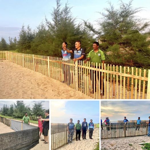 กรมทะเลและชายฝั่ง เฝ้าระวังและติดตามสถานการณ์เต่ามะเฟืองจังหวัดพังงา