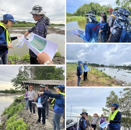 กรม ทช. ลงพื้นที่ตรวจติดตามแปลงปลูกป่าชายเลน โครงการปลูกป่าชายเลน เพื่อประโยชน์จากคาร์บอนเครดิต