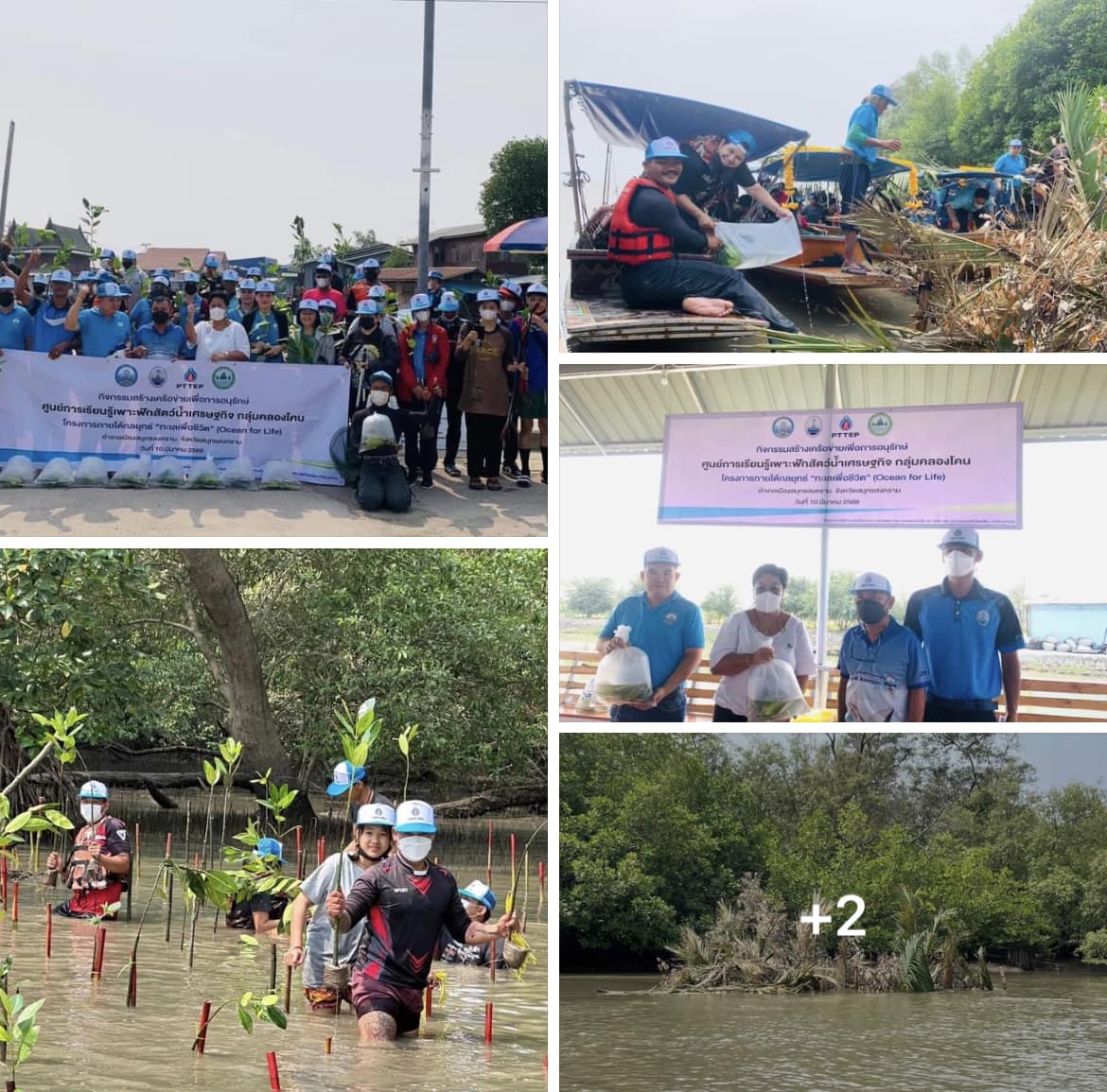 กรมทะเลชายฝั่ง ร่วมกิจกรรมสร้างเครือข่ายเพื่อการอนุรักษ์โครงการภายใต้กลยุทธ์ ทะเลเพื่อชีวิต (Ocean for Life)
