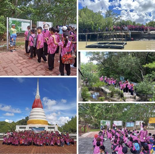 กรมทะเลชายฝั่ง พาชมและศึกษาเรียนรู้ป่าชายเลนในเมืองระยอง