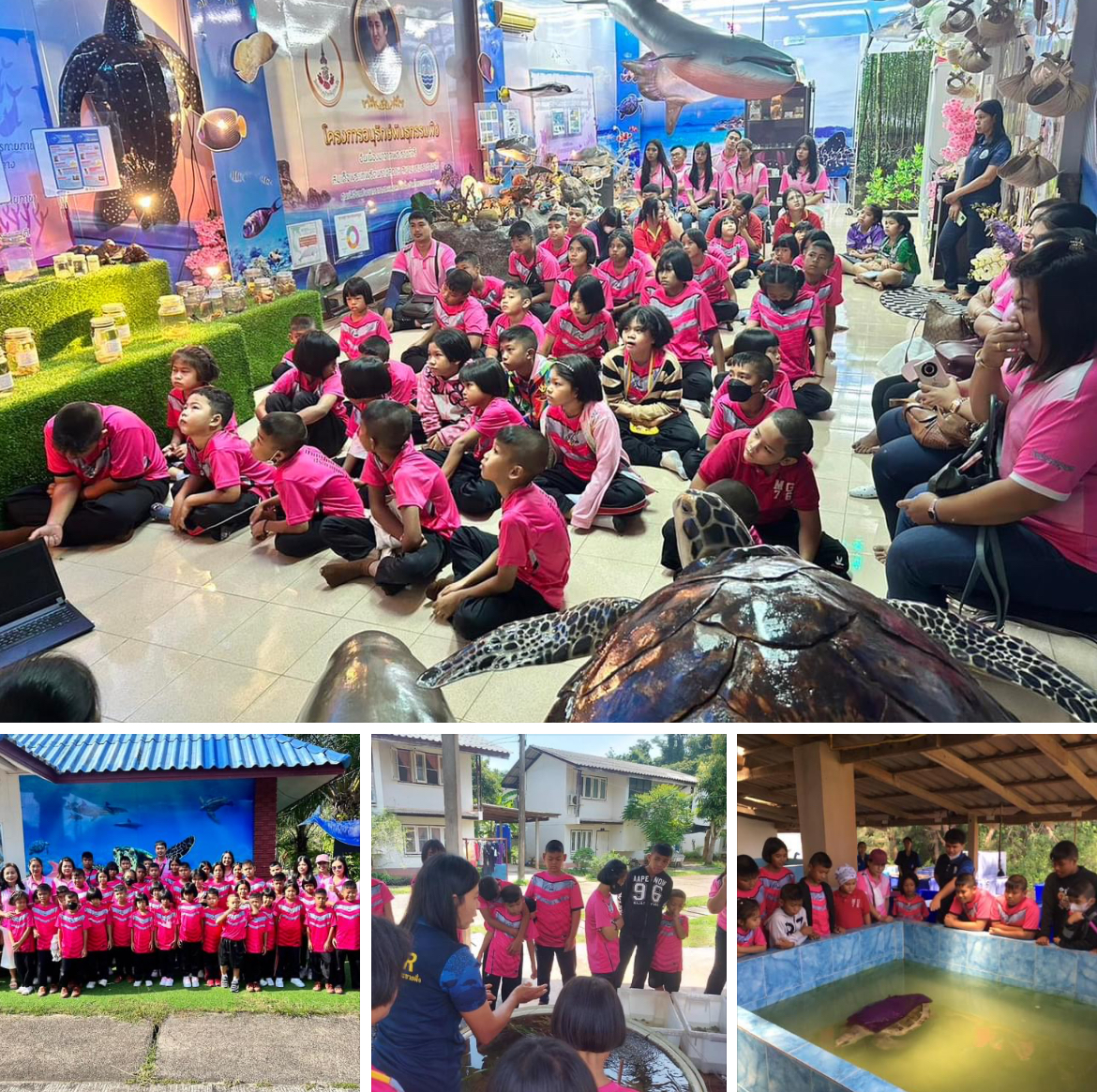 กรมทะเลชายฝั่ง เปิดศูนย์เรียนรู้ธรรมชาติวิทยาพืชและสัตว์ทะเลฝั่งอ่าวไทย จ.ชุมพร