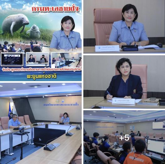 กรมทะเลชายฝั่ง จัดประชุมคณะทำงานติดตามการดำเนินงานภายใต้แผนอนุรักษ์พะยูนแห่งชาติ