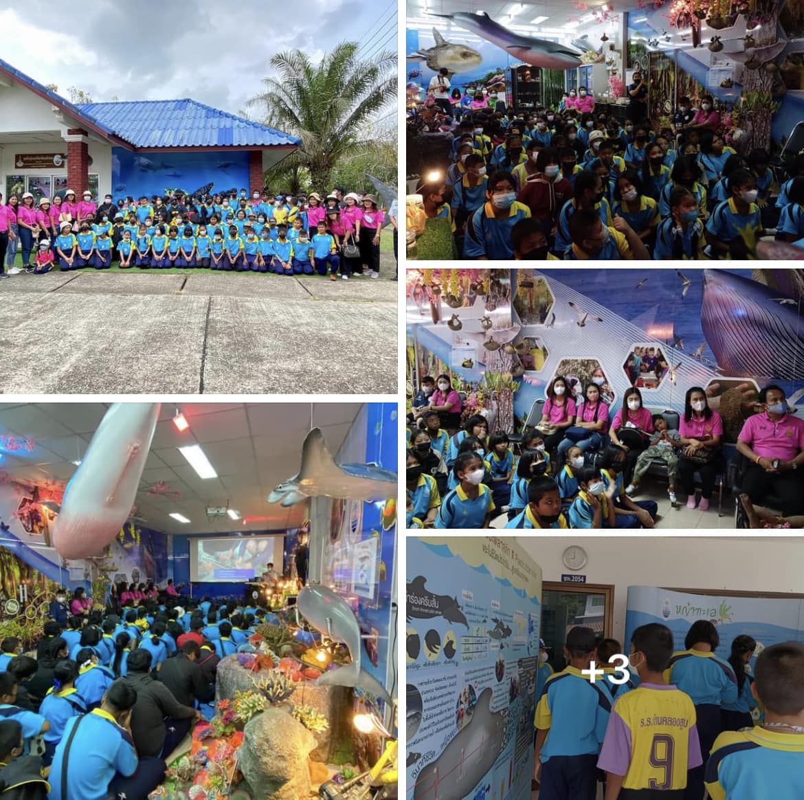 กรมทะเลชายฝั่ง บรรยายให้ความรู้ พร้อมพาเยี่ยมชมการเพาะเลี้ยงหญ้าทะเลและการอนุบาลเต่าทะเล