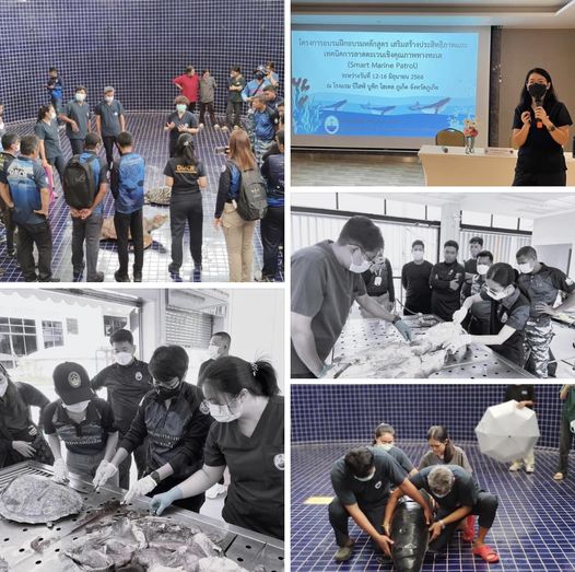 กรมทะเลชายฝั่ง ร่วมเป็นวิทยากรฝึกอบรมหลักสูตร เสริมสร้างประสิทธิภาพและเทคนิคการลาดตะเวนเชิงคุณภาพทางทะเล (Smart Marine Patrol)