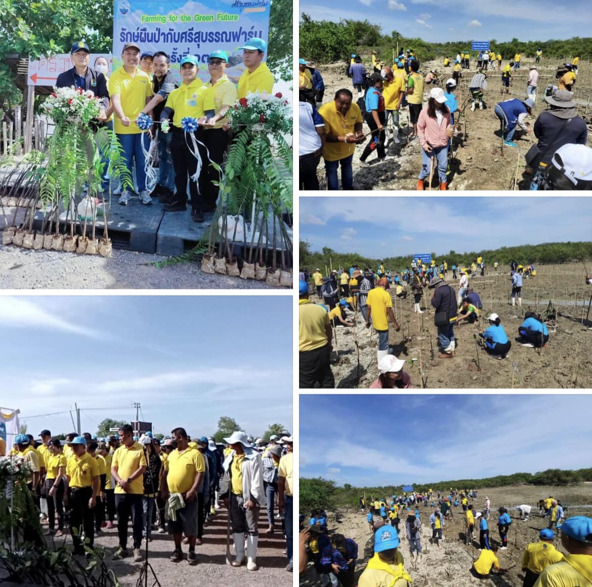 กรม ทช. ร่วมจัดโครงการรักษ์ผืนป่ากับศรีสุบรรณฟาร์ม ครั้งที่ 13