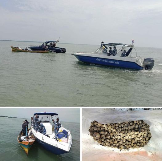 กรมทะเลชายฝั่ง ปฏิบัติงานคุ้มครองป้องกันการทำลายระบบนิเวศทรัพยากรทางทะเลและชายฝั่งพบการลักลอบใช้เครื่องมือคราดหอย อ่าวปัตตานี