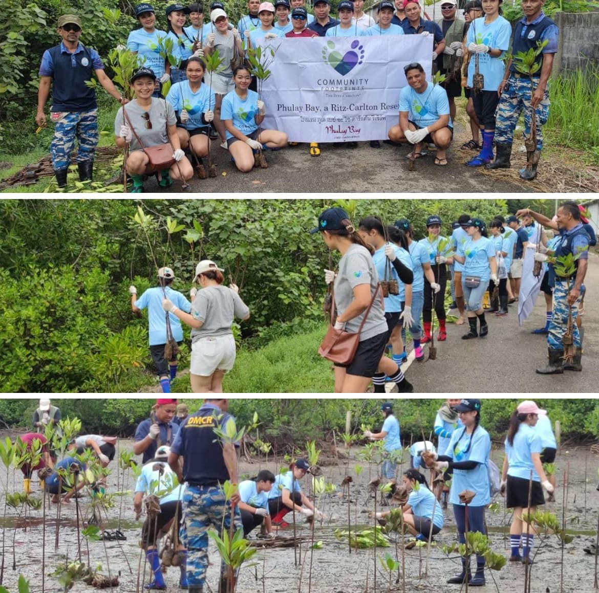 กรมทะเลชายฝั่ง ร่วมกิจกรรมปลูกป่าชายเลนเพื่อการอนุรักษ์สิ่งแวดล้อมในจังหวัดกระบี่