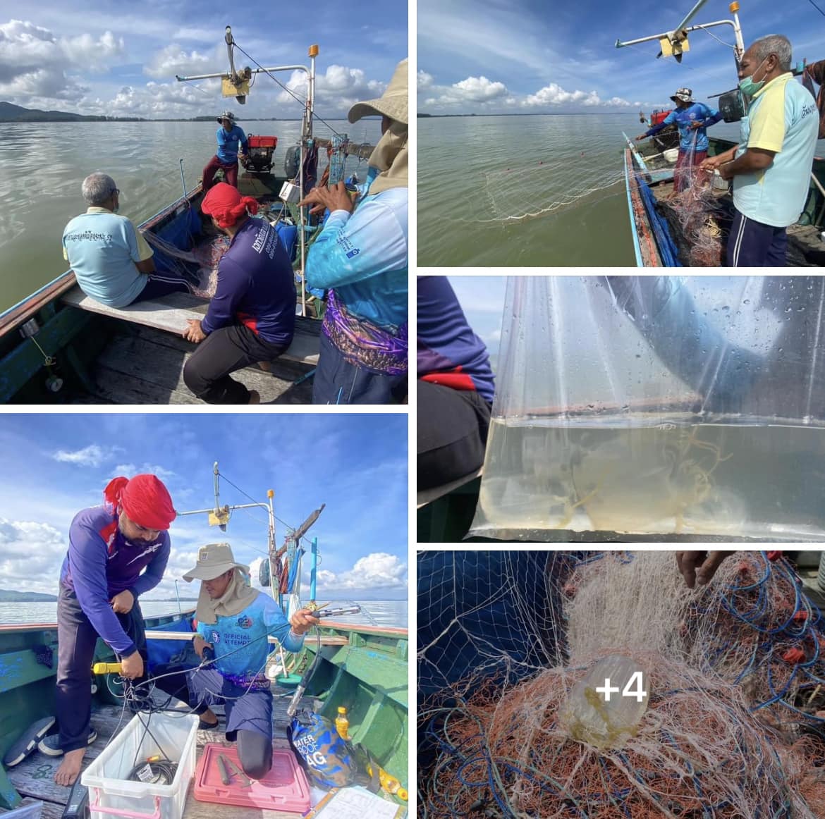 กรมทะเลชายฝั่ง สำรวจประเมินสถานภาพแมงกะพรุนและแมงกะพรุนพิษ ในพื้นที่ จ.สงขลาจ.ปัตตานี และ จ.นราธิวาส